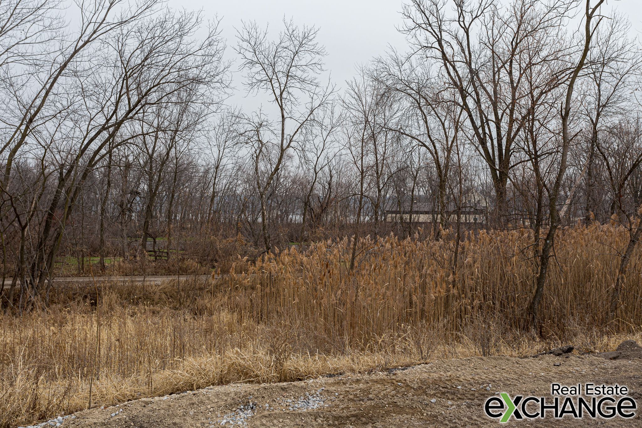 17650 245th Ave, Bettendorf, IA, Image 8